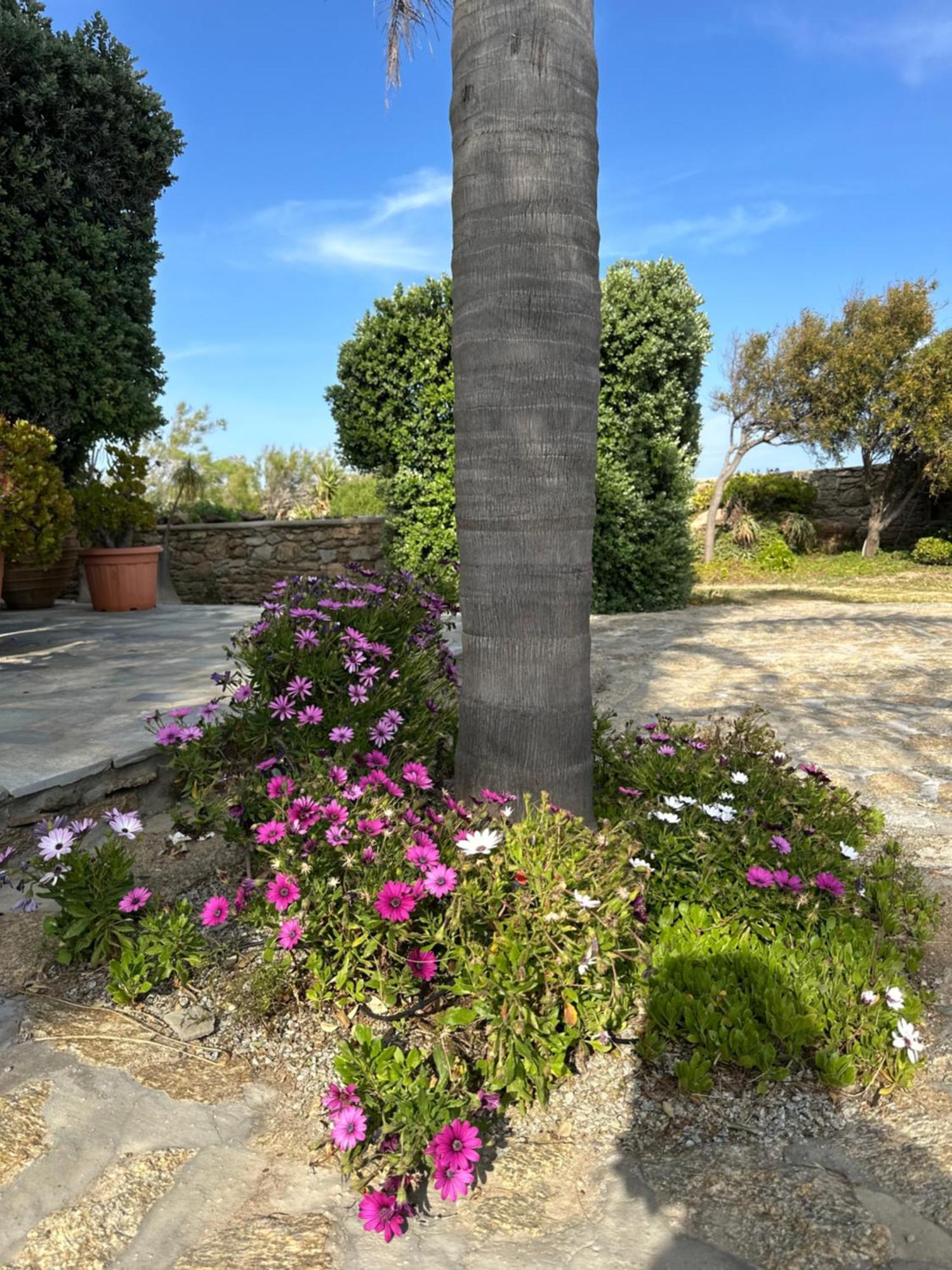 Divers House Аграри Экстерьер фото